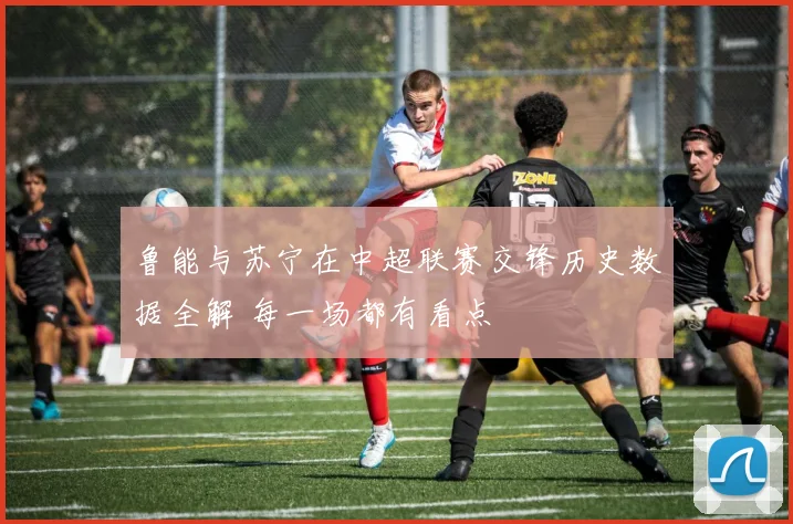 鲁能与苏宁在中超联赛交锋历史数据全解 每一场都有看点