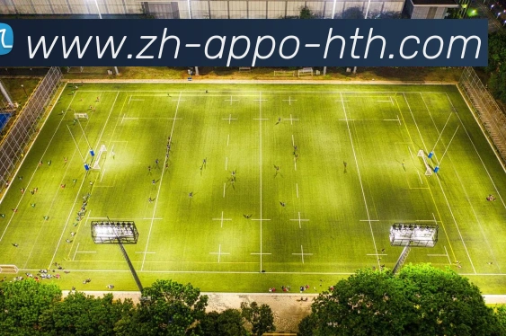 多媒体互动体验