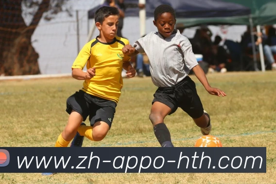 华体会网页版登录入口APP 高清赛事图